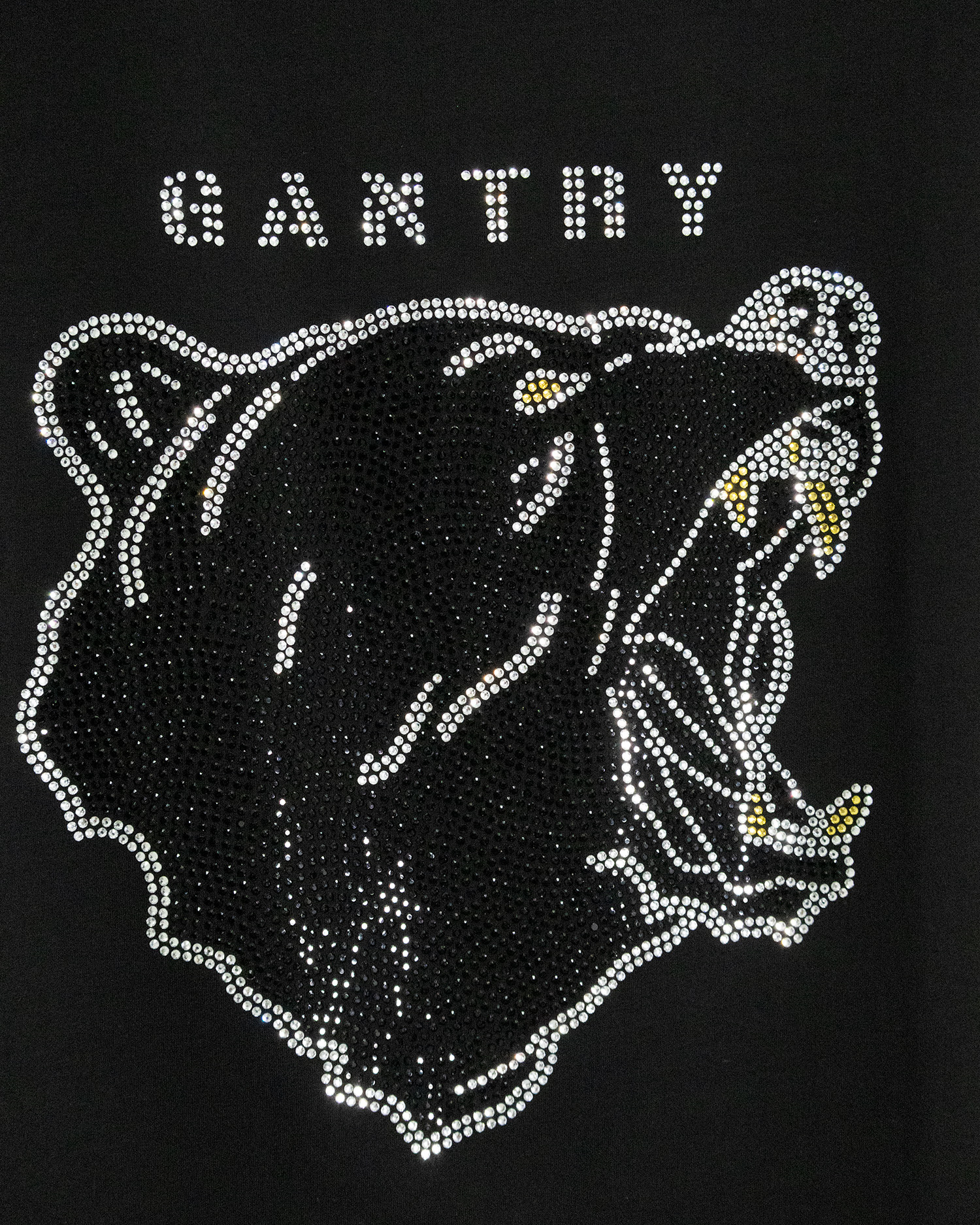 GANSST052_2